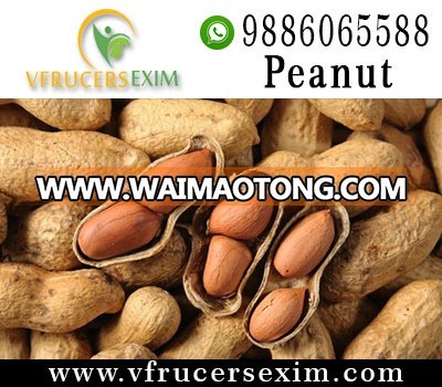 Best Quality Groundnut