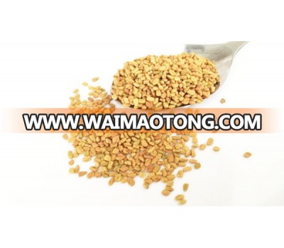 Fenugreek Seeds