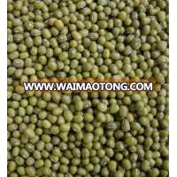 Big Yellow bean/soya bean/soybean 6.8-9.0mm